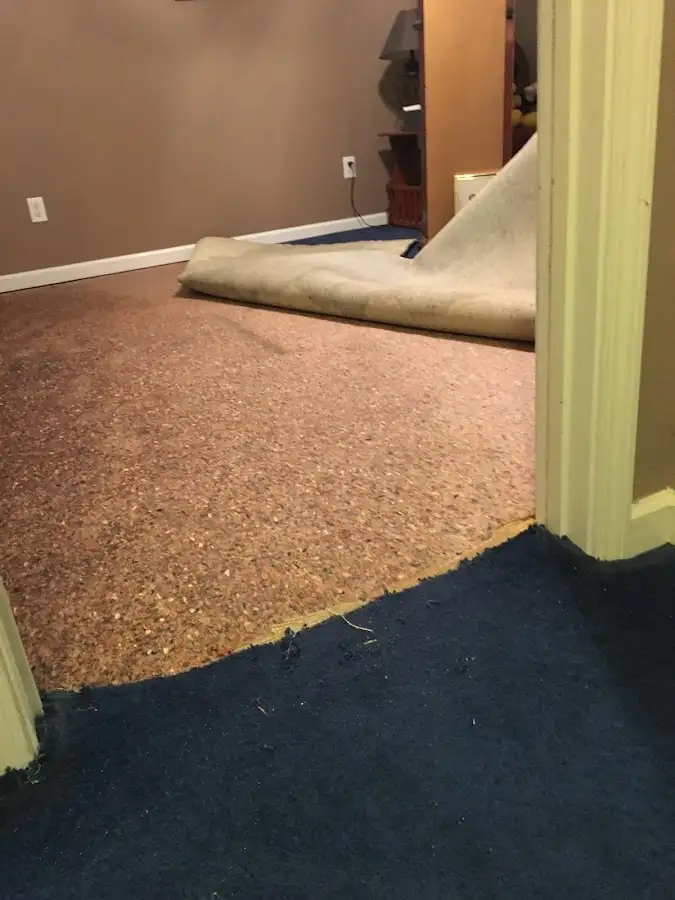 Carpet pad removal revealing water damage during Water Mitigation Services in Puyallup