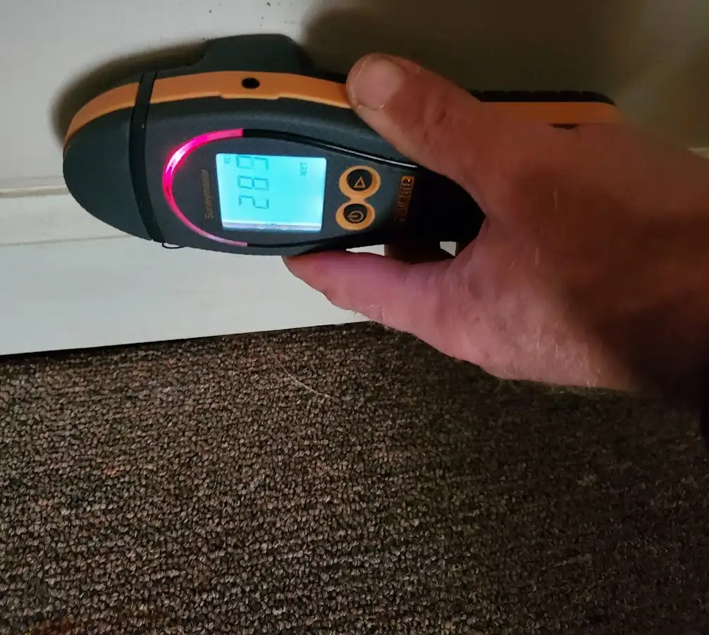 Moisture detection at baseboard during Sewage Cleanup & Sanitation in Puyallup